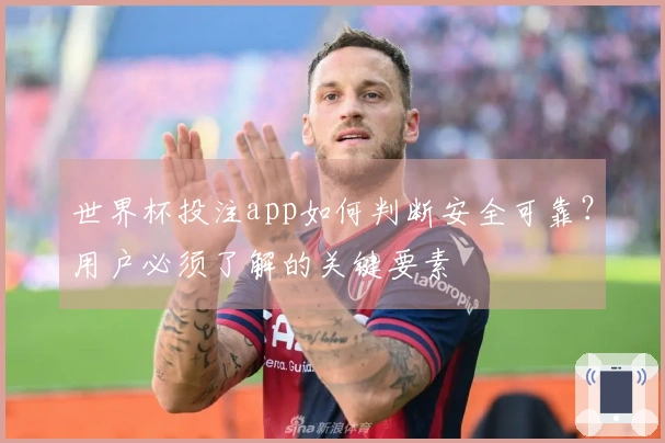 世界杯投注app如何判断安全可靠？用户必须了解的关键要素