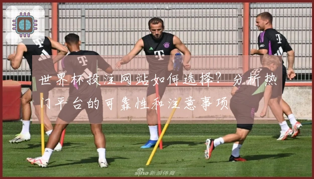 世界杯投注网站如何选择？分析热门平台的可靠性和注意事项